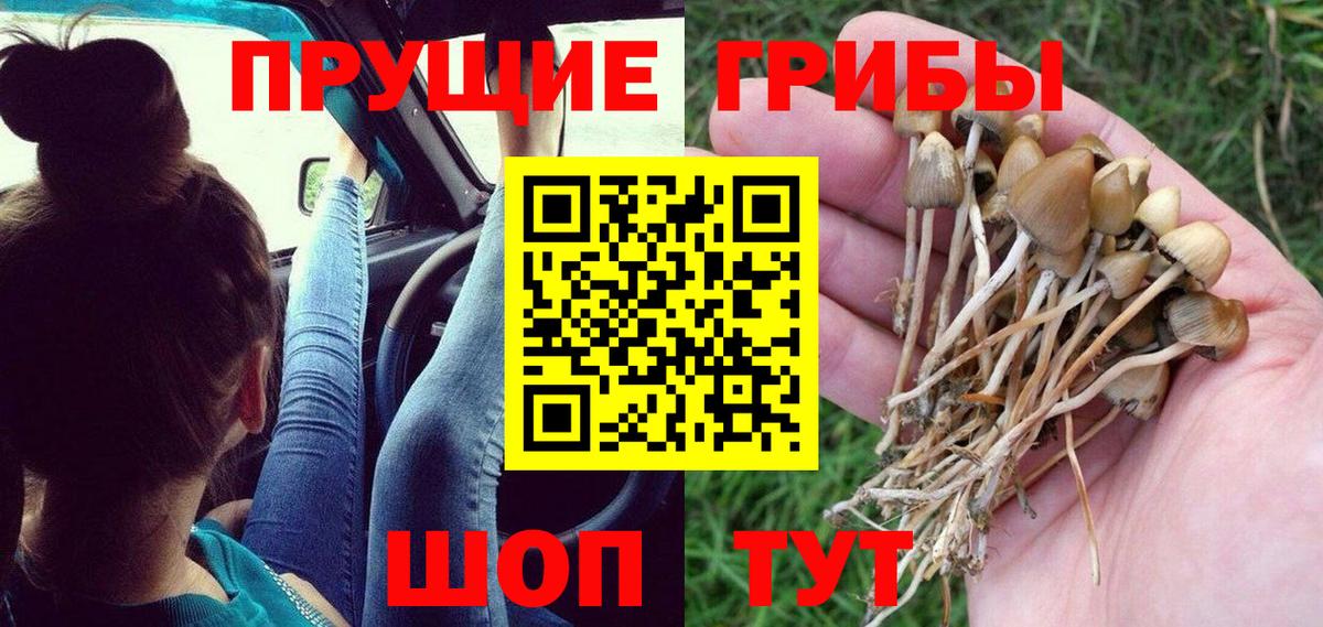 Галлюциногенные грибы MAGIC MUSHROOMS  Вход с VPN  Псилоцибиновые грибы Cubensis  хочу   Холмск 
