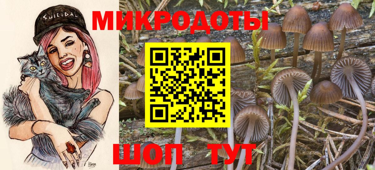 Псилоцибиновые грибы мицелий Холмск